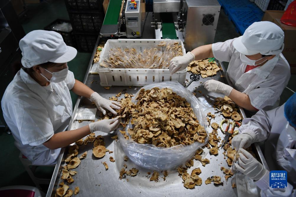 金沙总站网址
